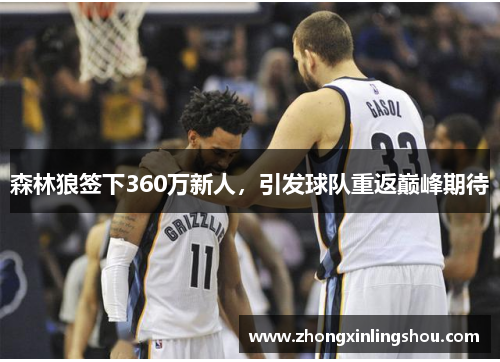 森林狼签下360万新人，引发球队重返巅峰期待