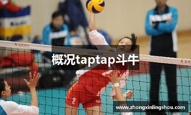 taptap冰球-taptap登录平台